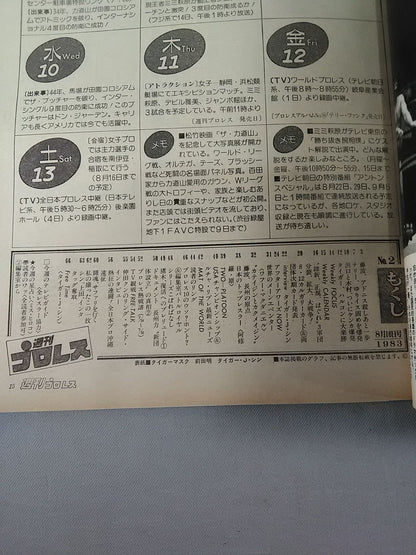 Weekly Pro Wrestling 2