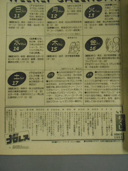 Weekly Pro Wrestling 8