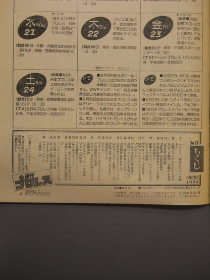 Weekly Pro Wrestling 9