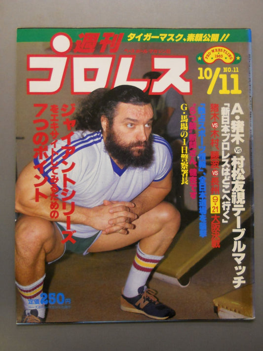 Weekly Pro Wrestling 11