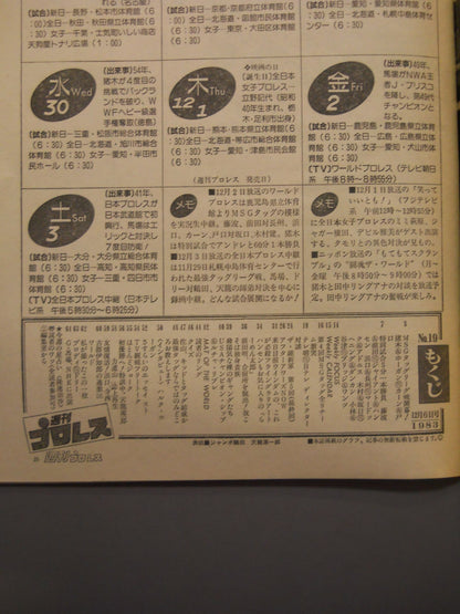 週刊プロレス19