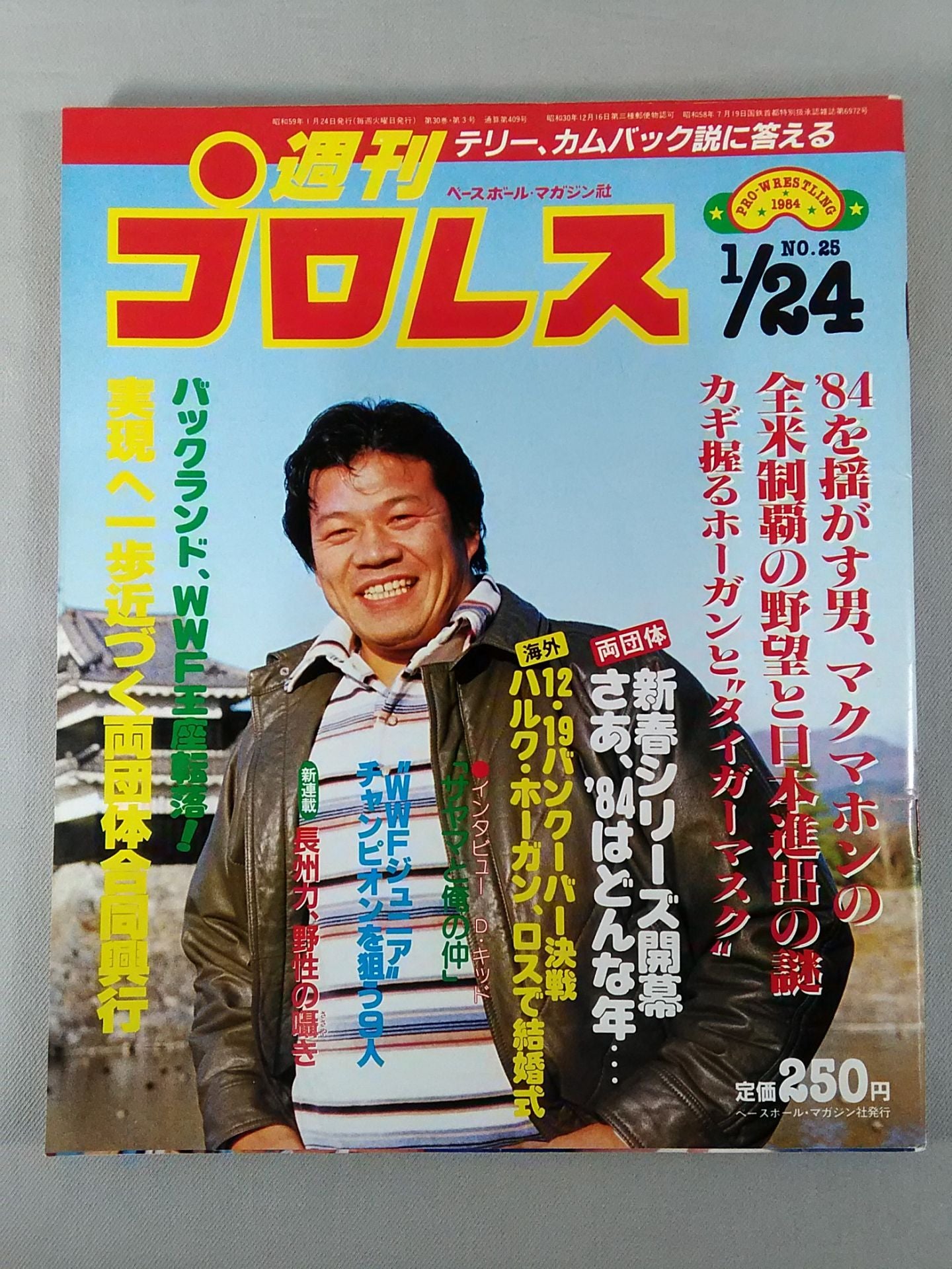 Weekly Pro Wrestling 25