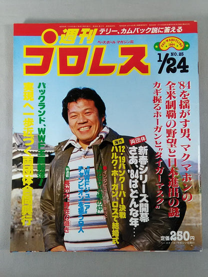 Weekly Pro Wrestling 25