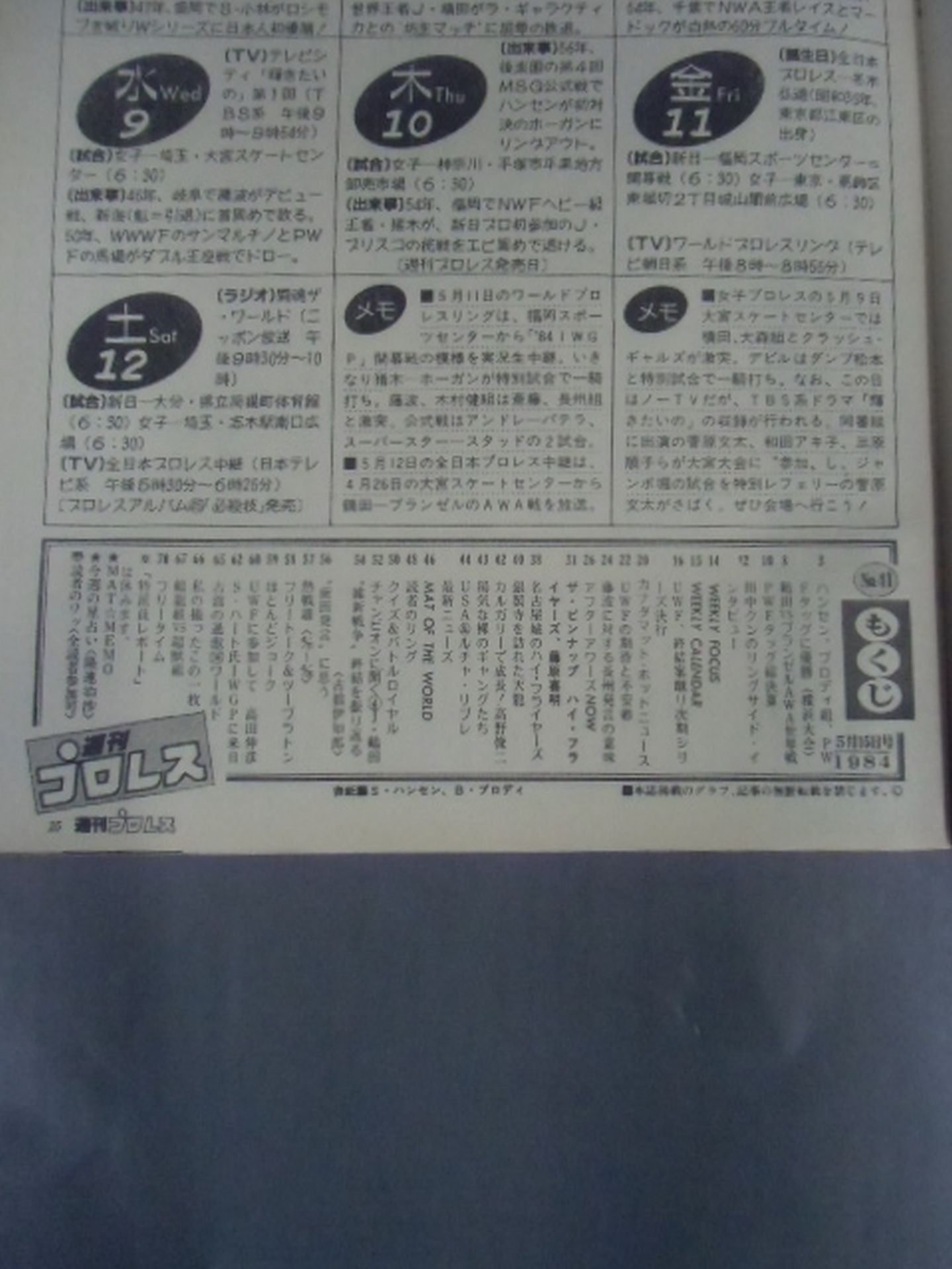Weekly Pro Wrestling 41