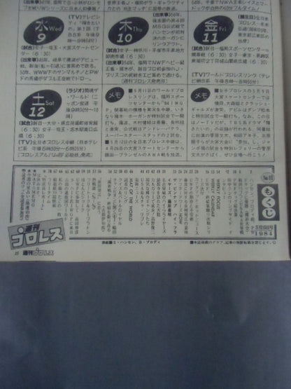 Weekly Pro Wrestling 41