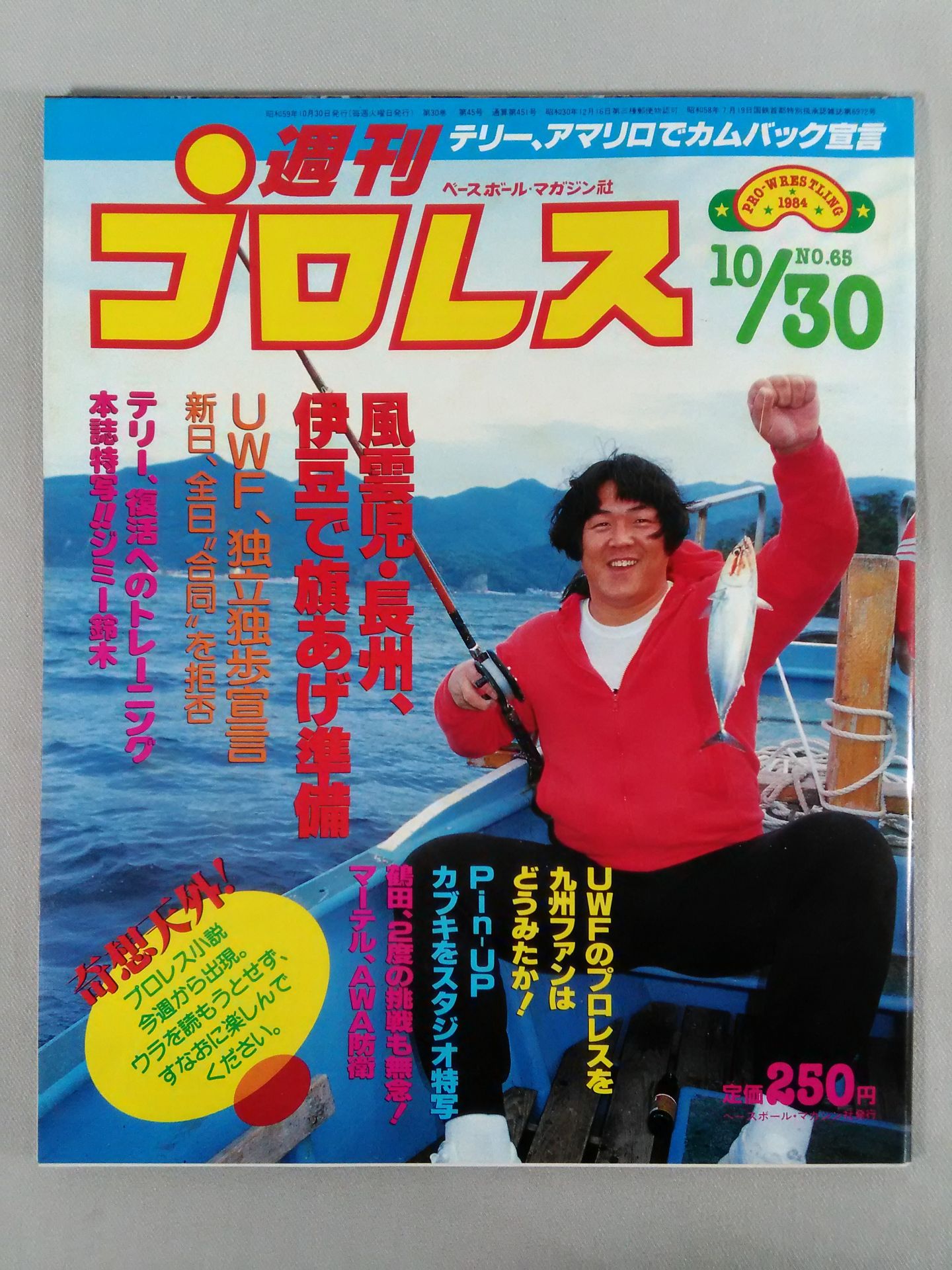 Weekly Pro Wrestling 65