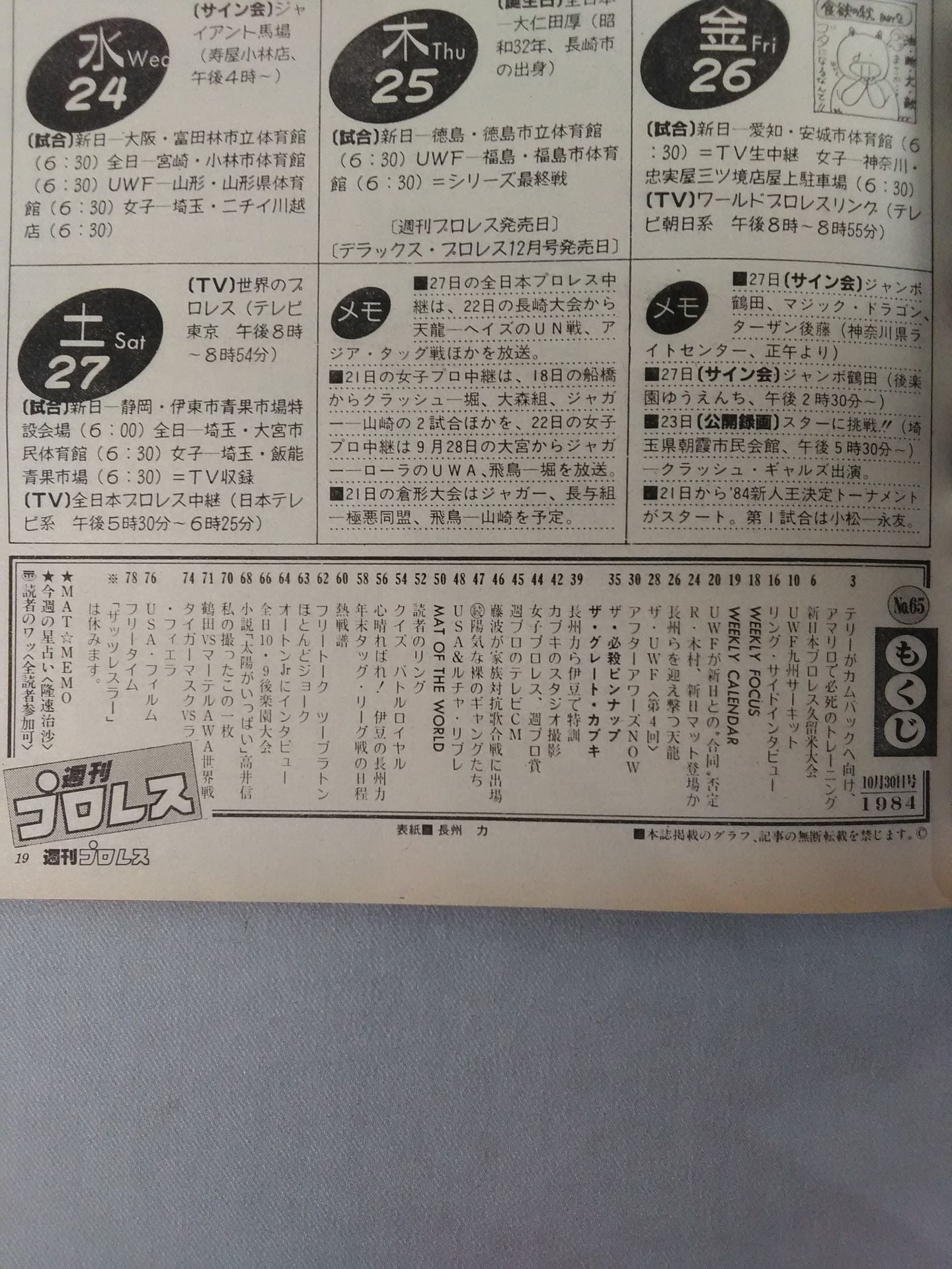 Weekly Pro Wrestling 65