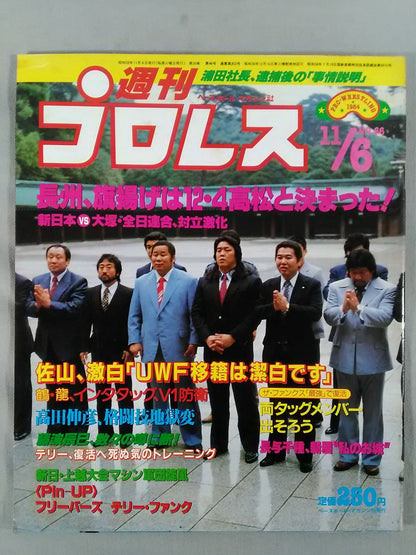 週刊プロレス66
