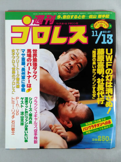 Weekly Pro Wrestling  67