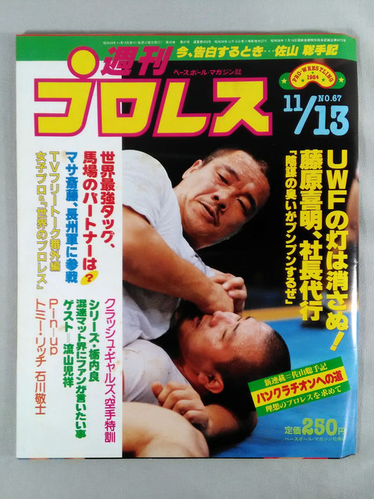 Weekly Pro Wrestling  67