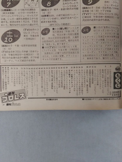 Weekly Pro Wrestling  67