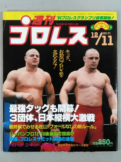 Weekly Pro Wrestling 71