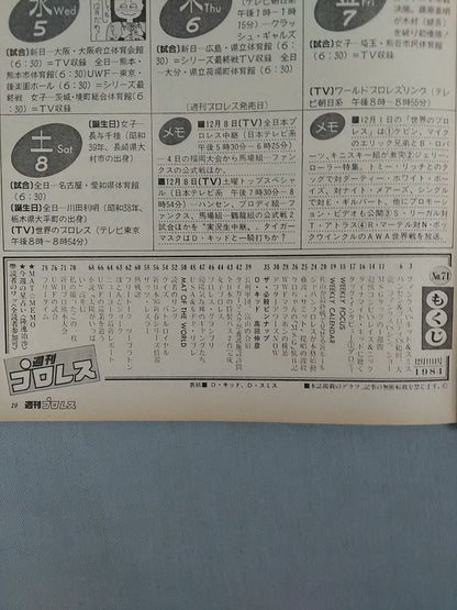 Weekly Pro Wrestling 71