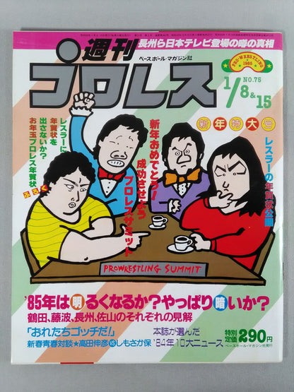 Weekly Pro Wrestling  75