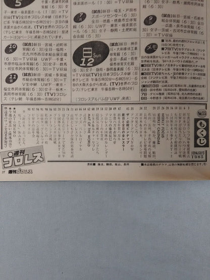 Weekly Pro Wrestling  75