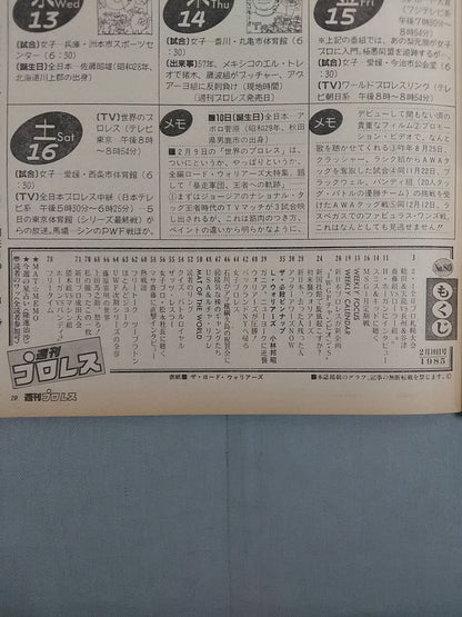 Weekly Pro Wrestling 80