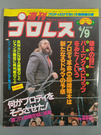 Weekly Pro Wrestling 87