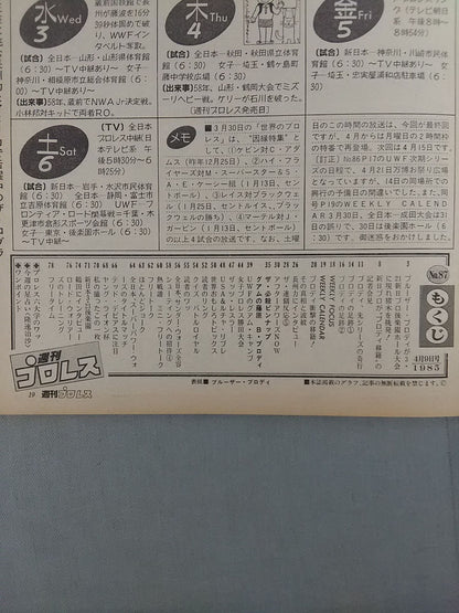 Weekly Pro Wrestling 87