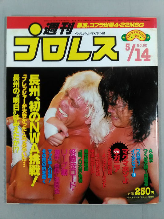 Weekly Pro Wrestling 92