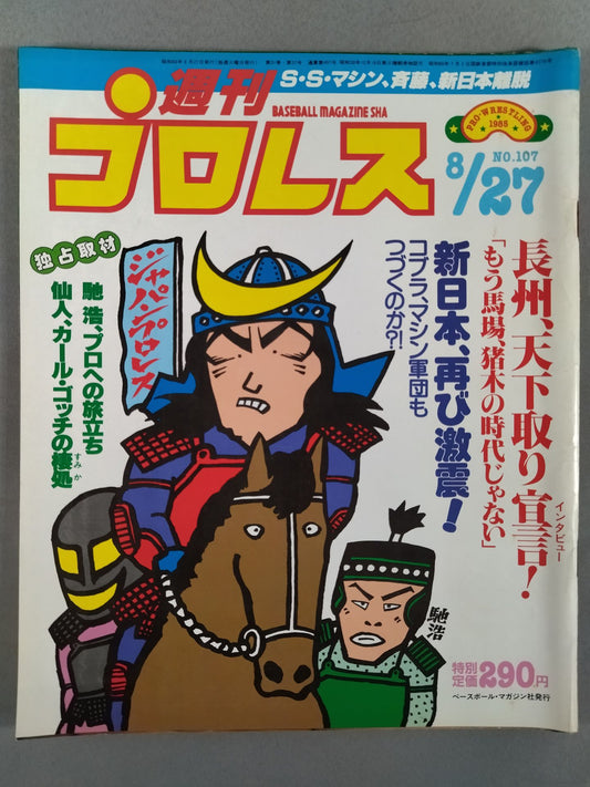 Weekly Pro Wrestling 107