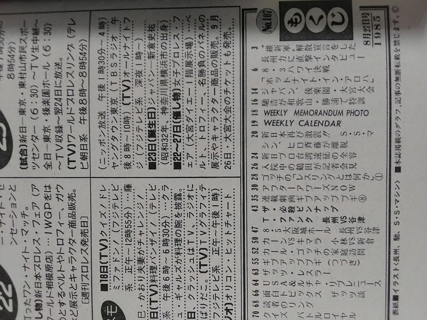 Weekly Pro Wrestling 107