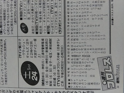 Weekly Pro Wrestling 107