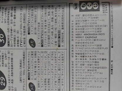 週刊プロレス108