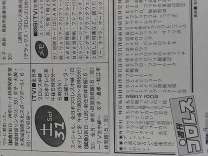 週刊プロレス108