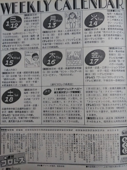 週刊プロレス127