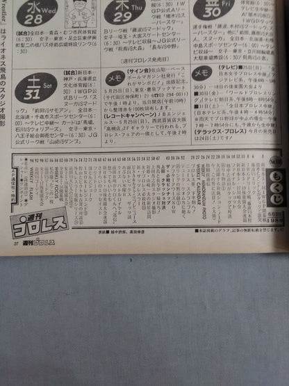 Weekly Pro Wrestling  146