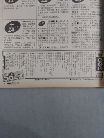 Weekly Pro Wrestling 148