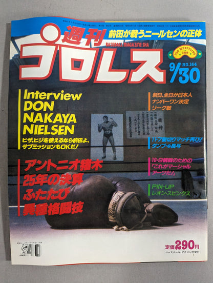 週刊プロレス164