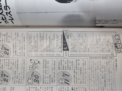 Weekly Pro Wrestling  170