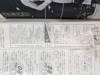 週刊プロレス174