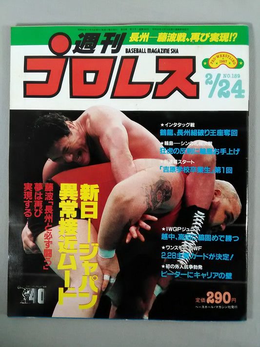 Weekly Pro Wrestling 189