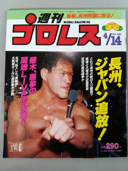 Weekly Pro Wrestling  198
