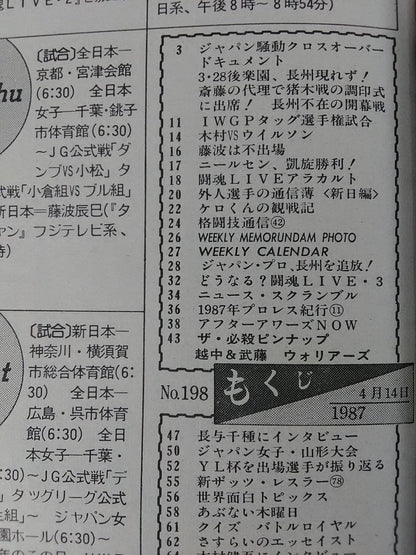 Weekly Pro Wrestling  198