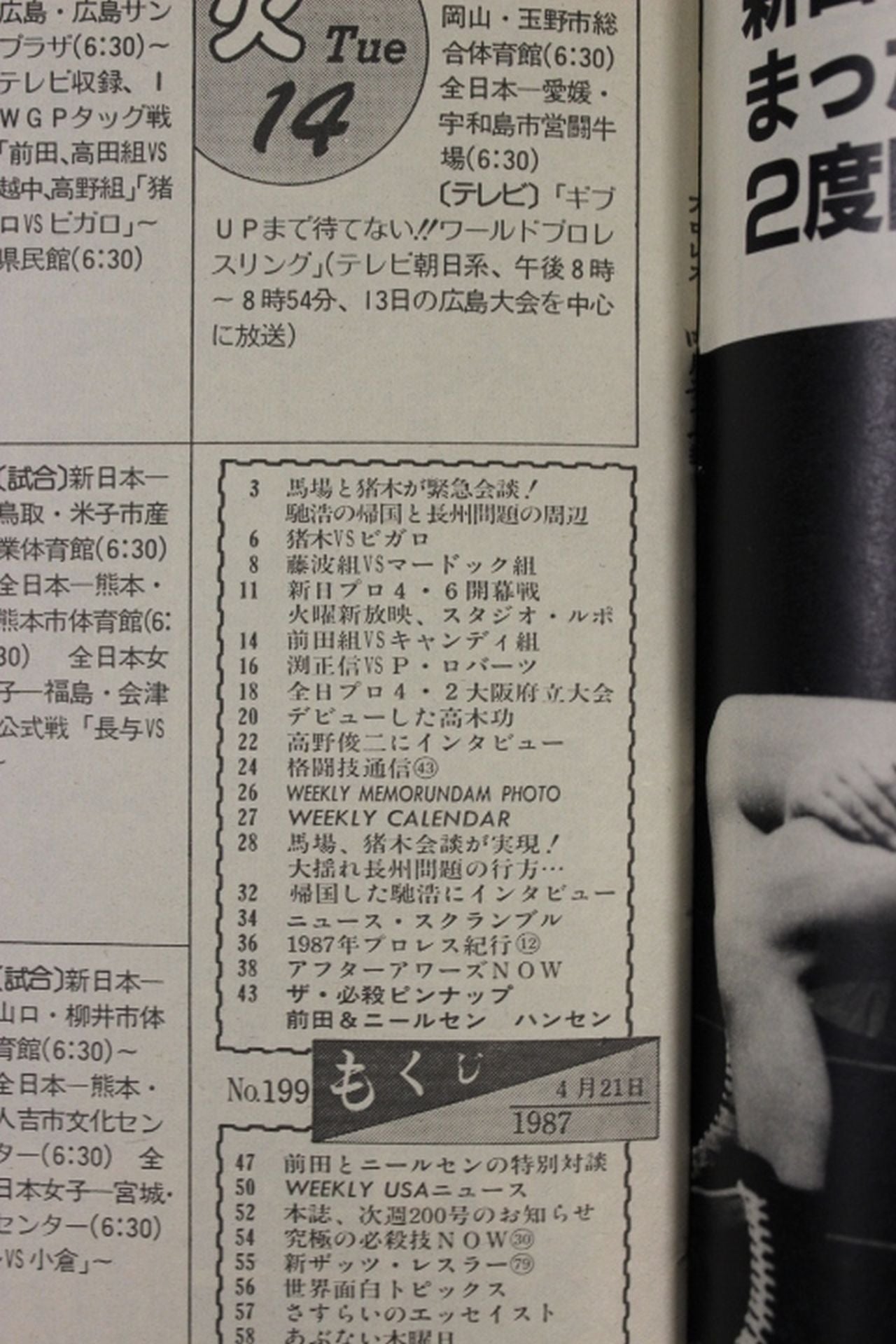 Weekly Pro Wrestling 199