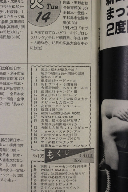 Weekly Pro Wrestling 199