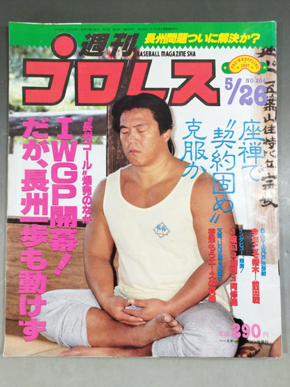 週刊プロレス204