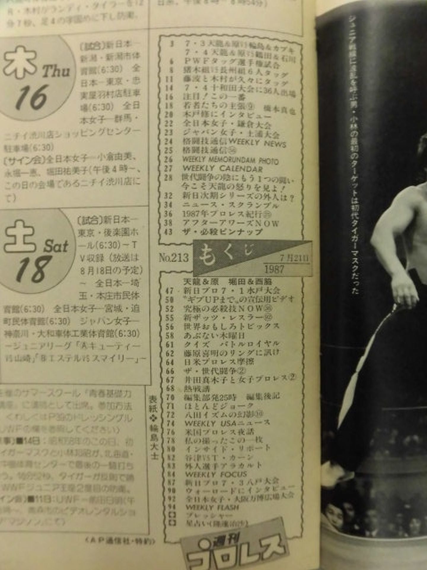 週刊プロレス213