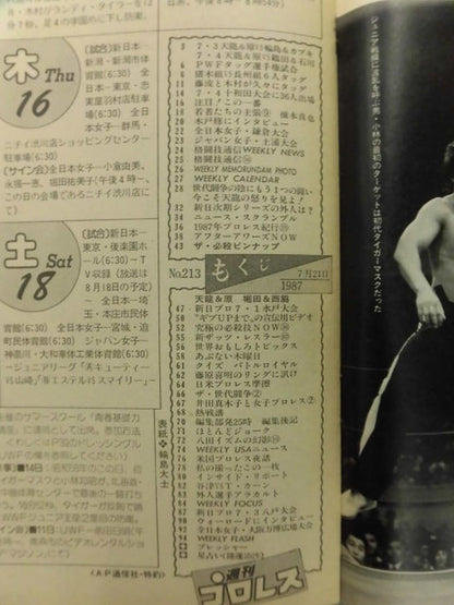 週刊プロレス213