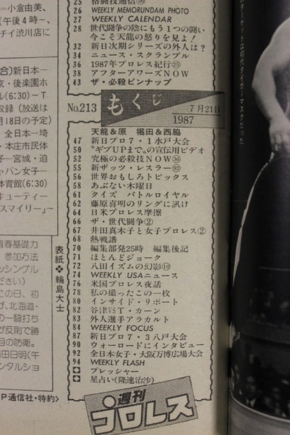 週刊プロレス213