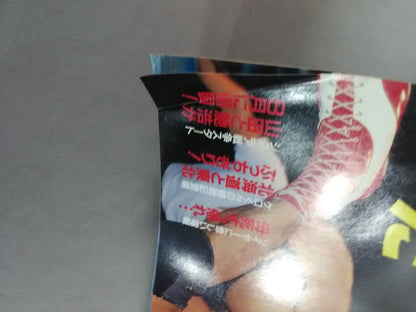 週刊プロレス214