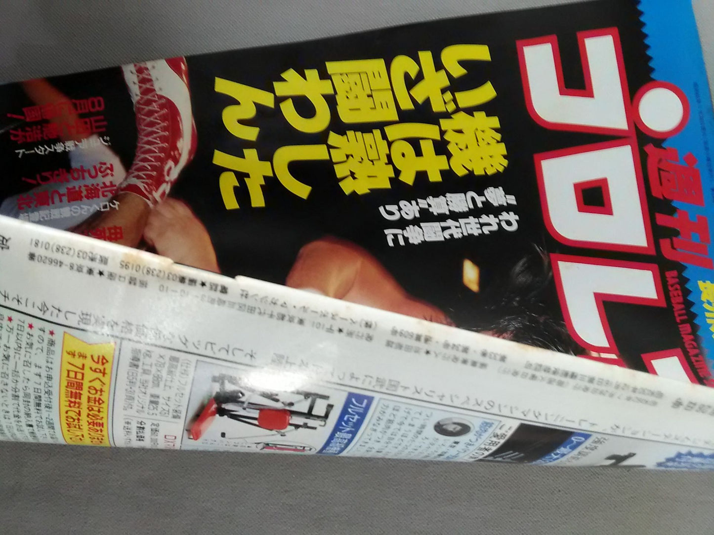 週刊プロレス214
