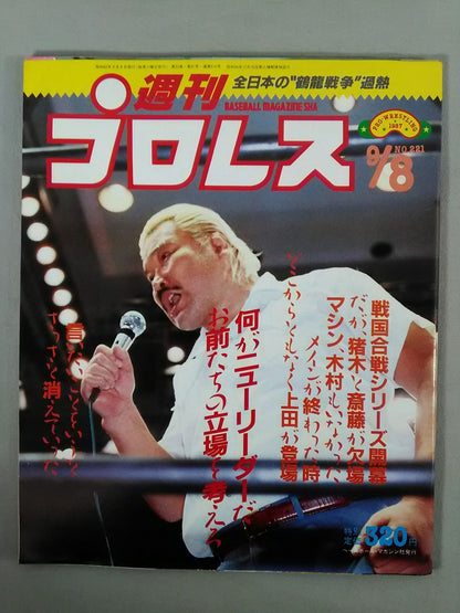 Weekly Pro Wrestling 221