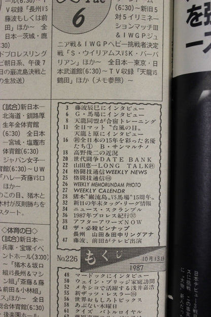 Weekly Pro Wrestling 226