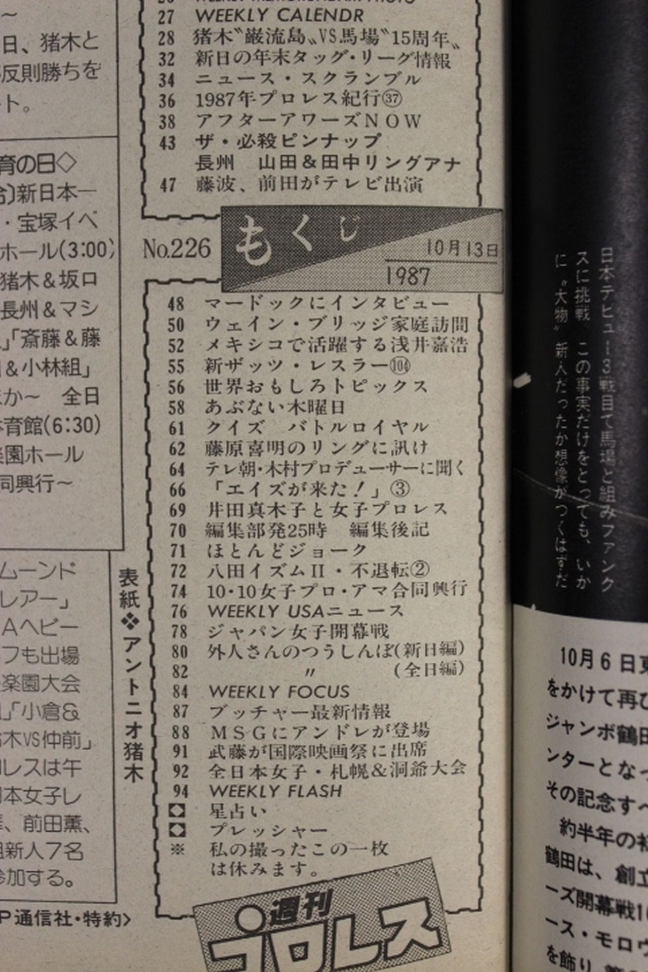 Weekly Pro Wrestling 226