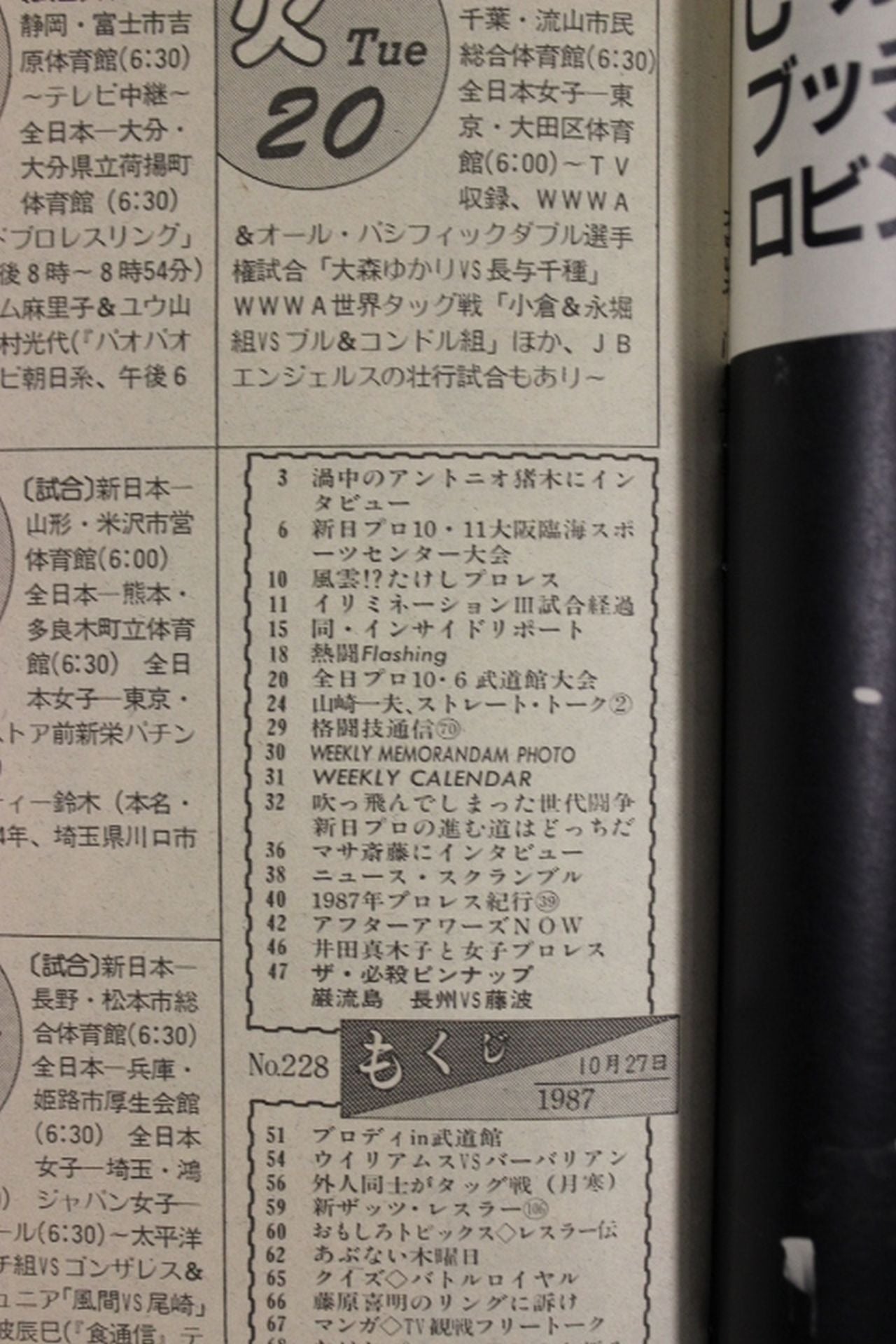 週刊プロレス228