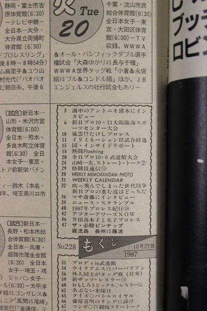 週刊プロレス228